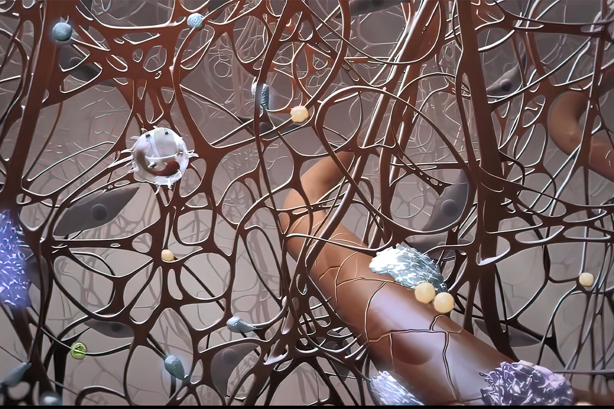 Biological picture depicting the inside of the human body for chronic wounds in Los Angeles.