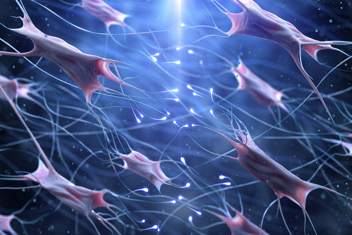 Biological picture of the body's links neurons as it applies to scar treatment in Los Angeles.